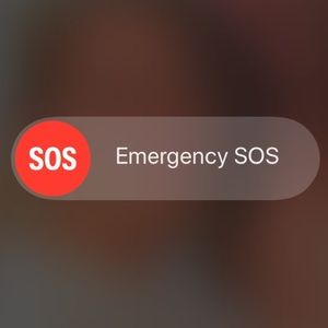 Meet your Posher, Sid